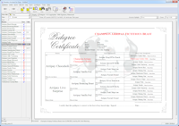 Main Window With 4 Generation Copperplate Pedigree