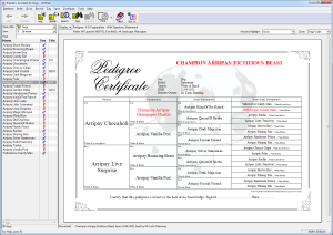 Main Window With 4 Generation Copperplate Pedigree