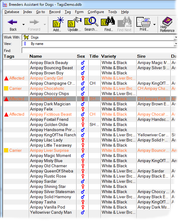 Tags Column in Record List