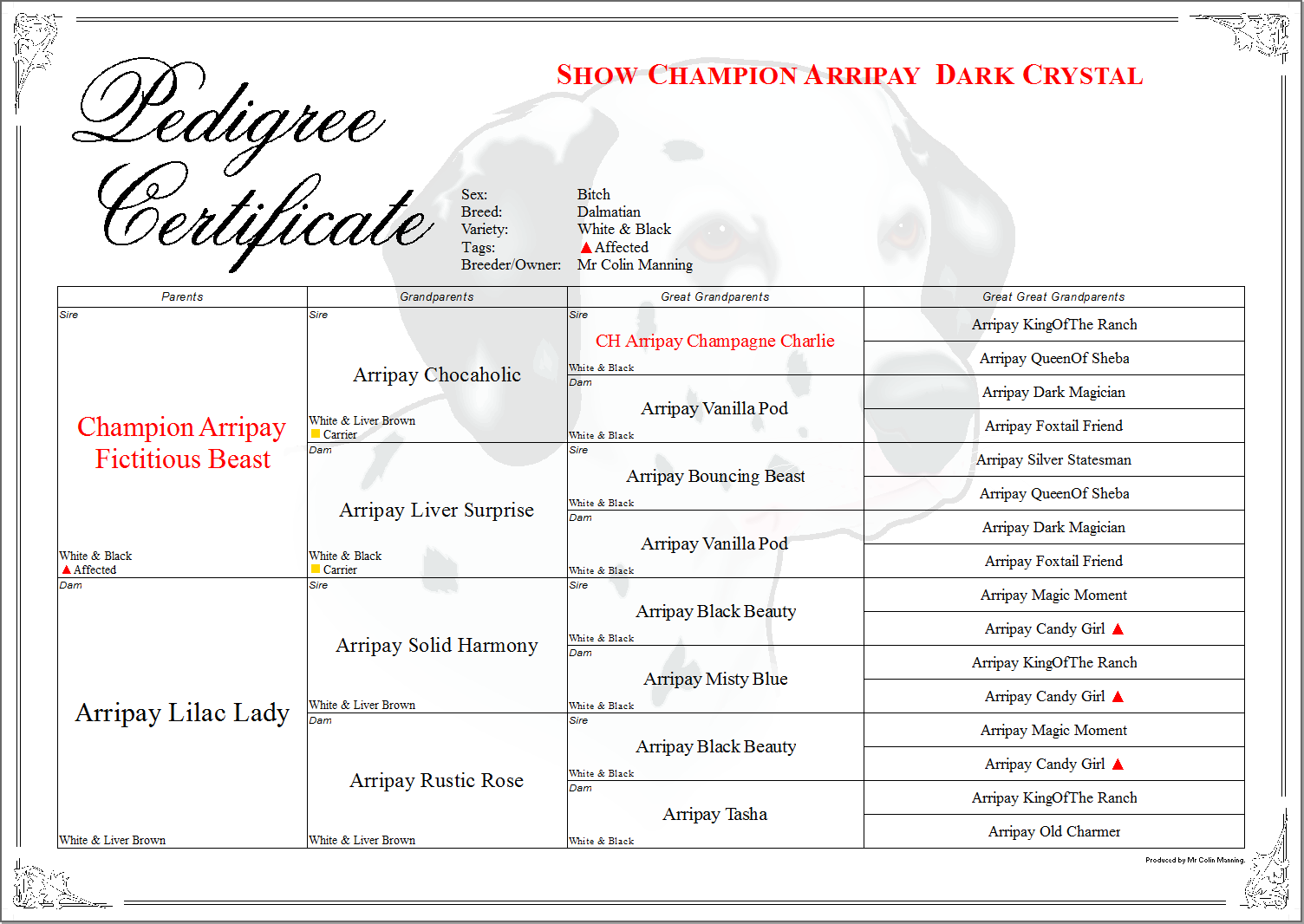 Pedigree With Tag Customized Tag Display