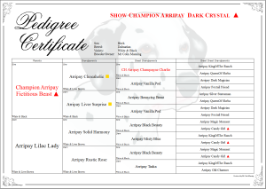 Pedigree With Tag Symbols After Names