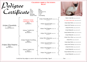 4 Generation Pedigree with Calligraphic Heading, Bracketed Ancestors, Photo and Custom Border