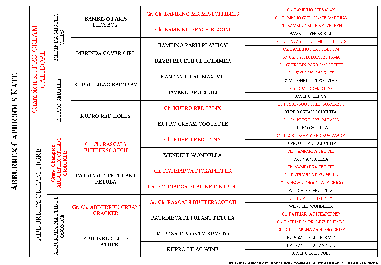 5 Generation Pedigree with Vertical Text For Parents and Grand-Parents