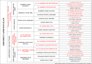 5 Generation Pedigree with Vertical Text For Parents and Grand-Parents