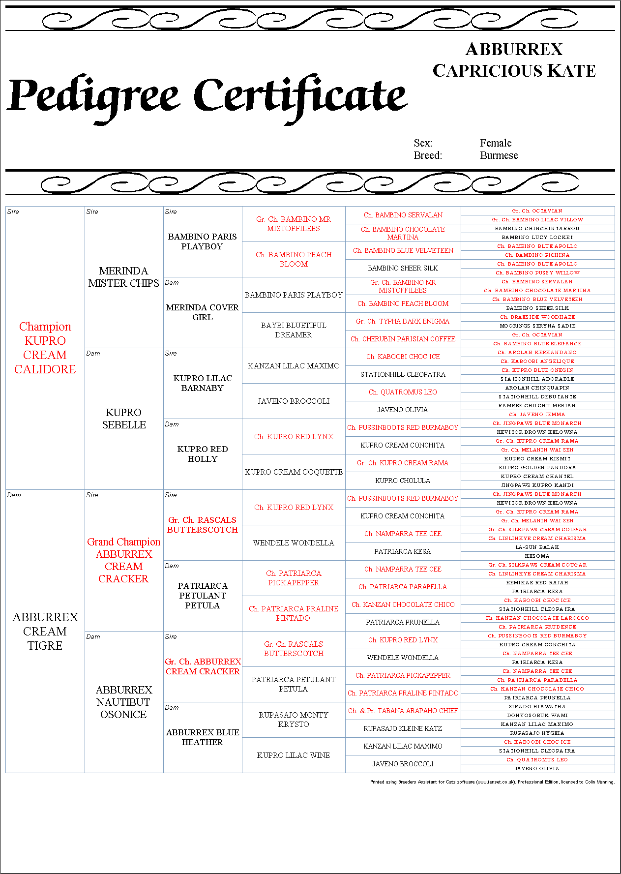 6 Generation Portrait Pedigree