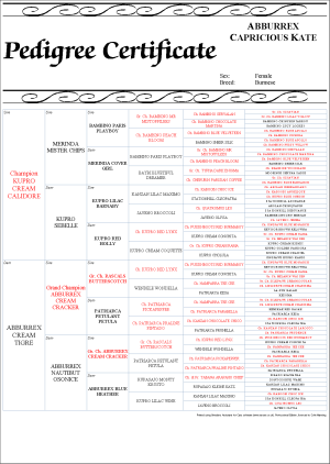 6 Generation Portrait Pedigree