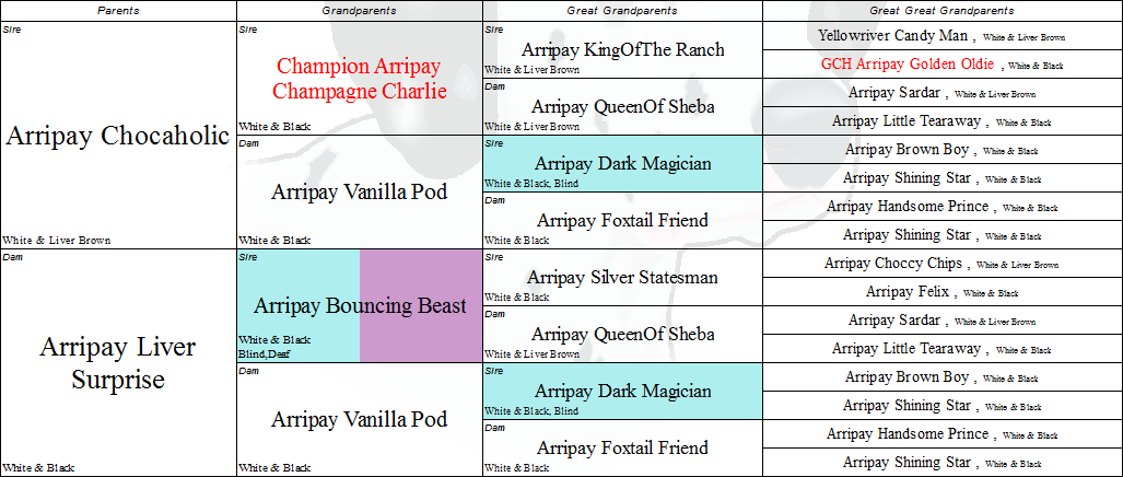 Ancestors with Defects Highlighted