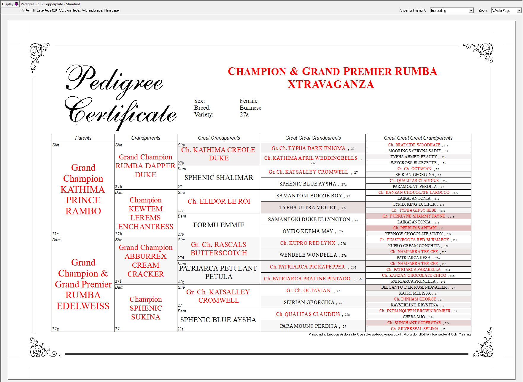 Pedigree With Ancestors Highlighted By Inbreeding