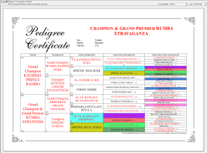 Pedigree With Repeat Ancestor Highlighting