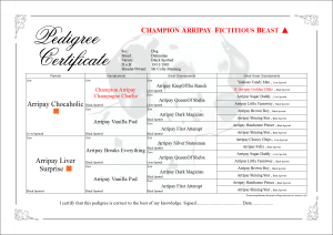 Tag Symbols Within Pedigree