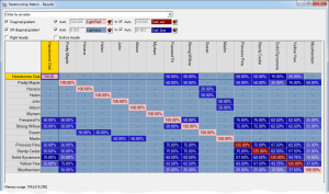 Relationship Matrix