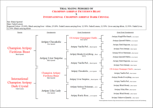 Bracketed Trial Pedigree Showing Coat Color Predictions (Dog Version)