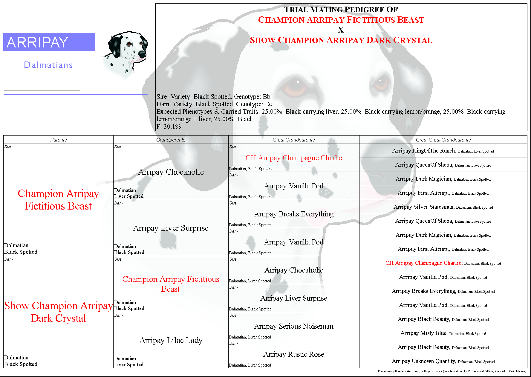 Trial Pedigree Showing Coat Color Predictions