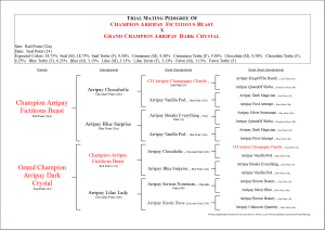 Trial Pedigree Showing Coat Color Predictions (Cat Version)