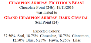 Color Prediction within Mating Certificate for Chocolate x Seal Pt Siamese