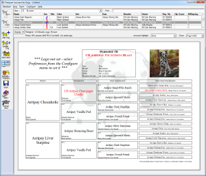 Pedigree Assistant Main Window