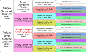 4 Generation Pedigree With Repeat Ancestors Highlighted